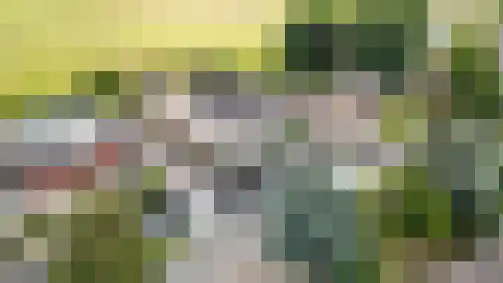 Oosteindseweg 40 Bergschenhoek thumbnail 5