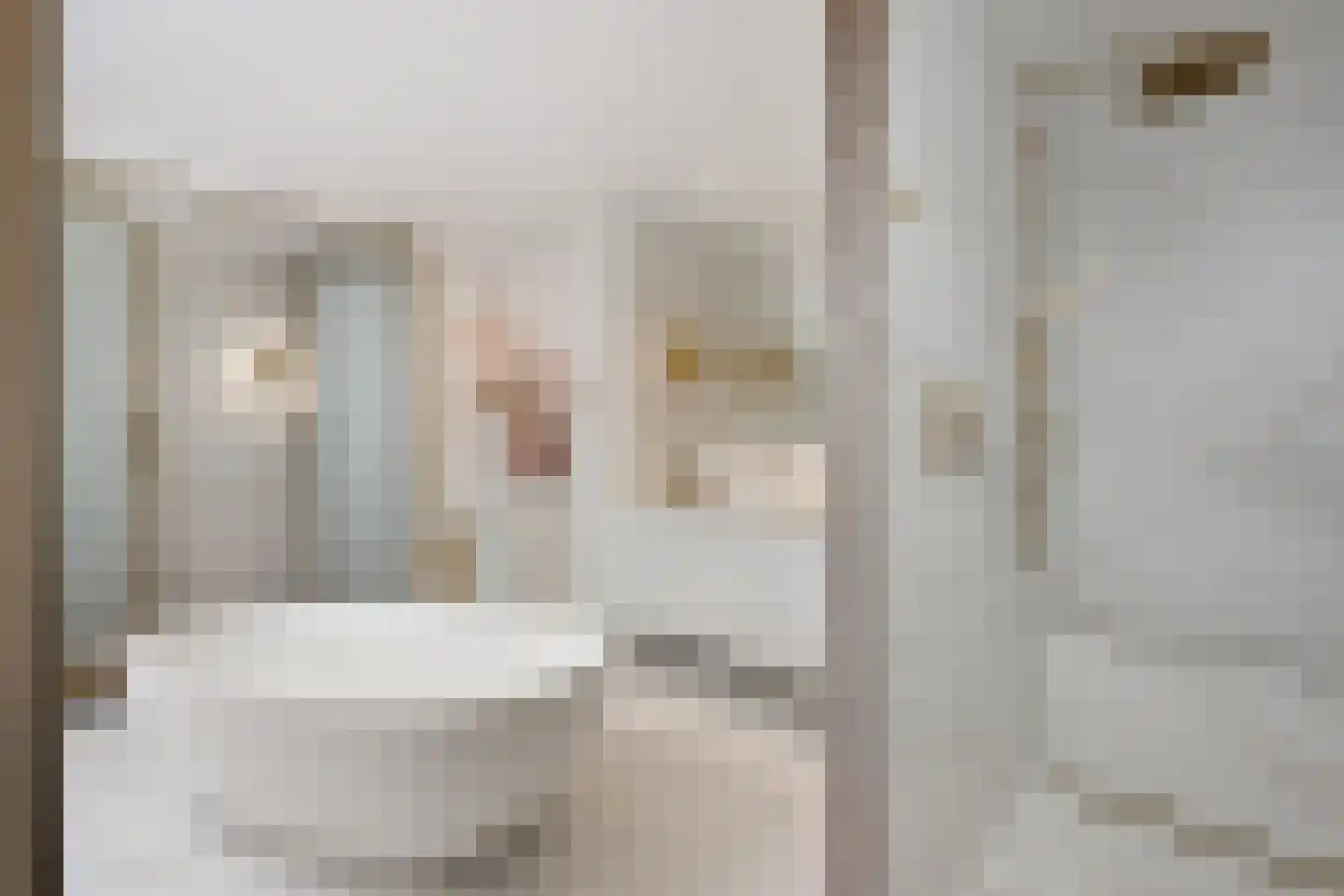 Oosteindseweg 40 Bergschenhoek thumbnail 5