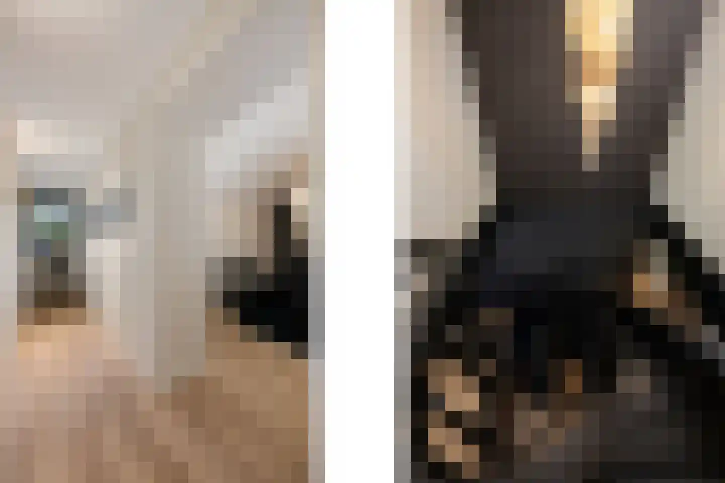Oosteindseweg 40 Bergschenhoek thumbnail 51
