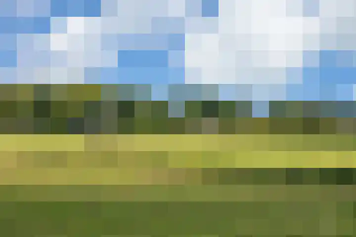Oosteindseweg 40 Bergschenhoek thumbnail 60