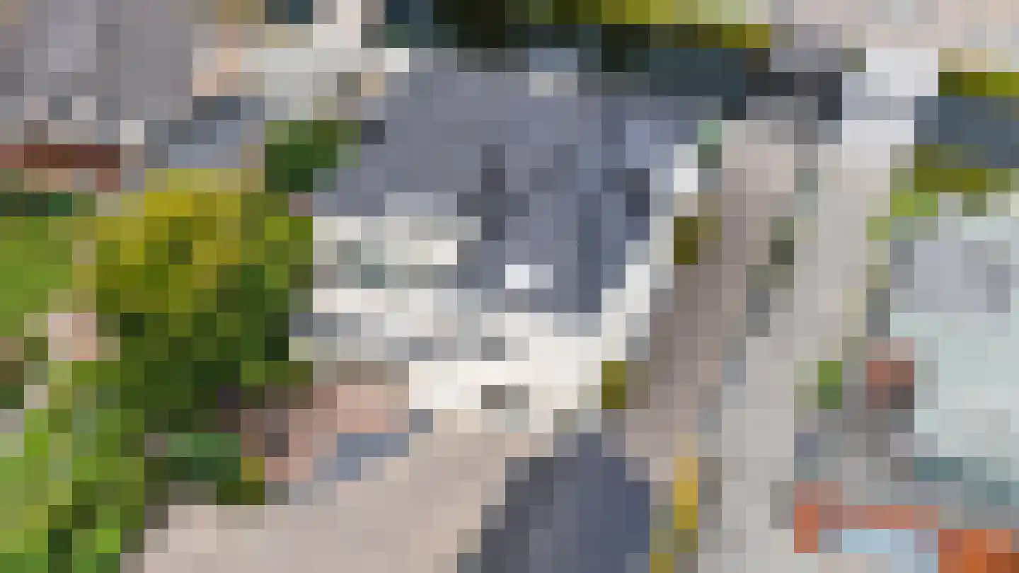 Oosteindseweg 40 Bergschenhoek thumbnail 62