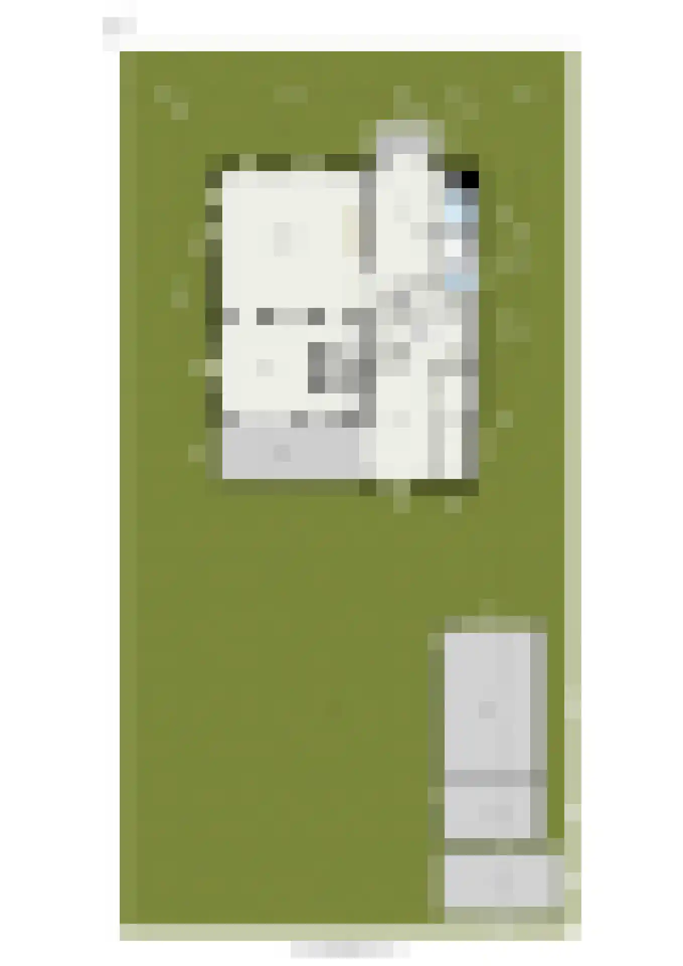 Oosteindseweg 40 Bergschenhoek thumbnail 66