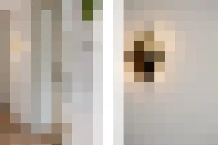 Oosteindseweg 40 Bergschenhoek thumbnail 9