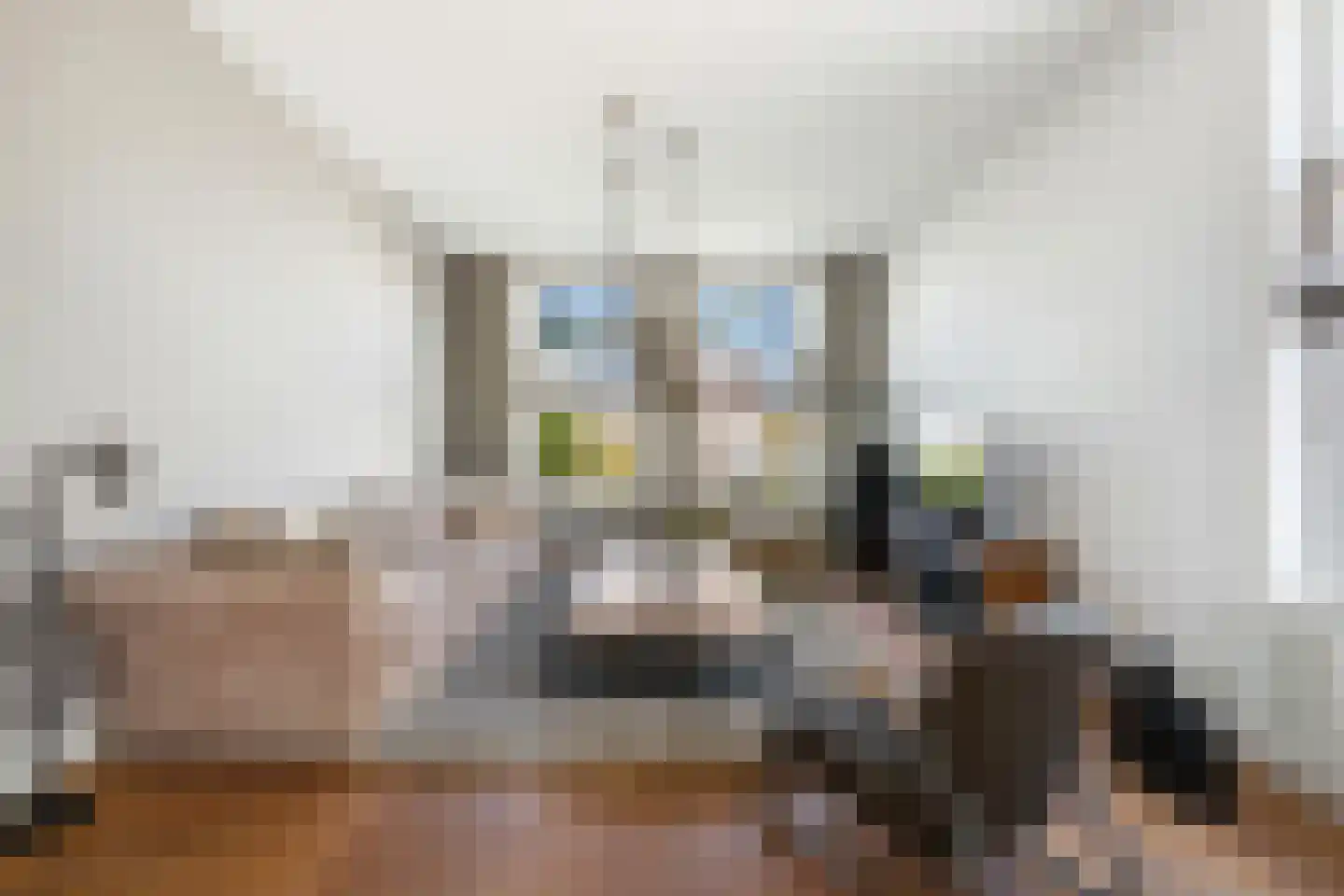 Oosteindseweg 64 Bergschenhoek thumbnail 15
