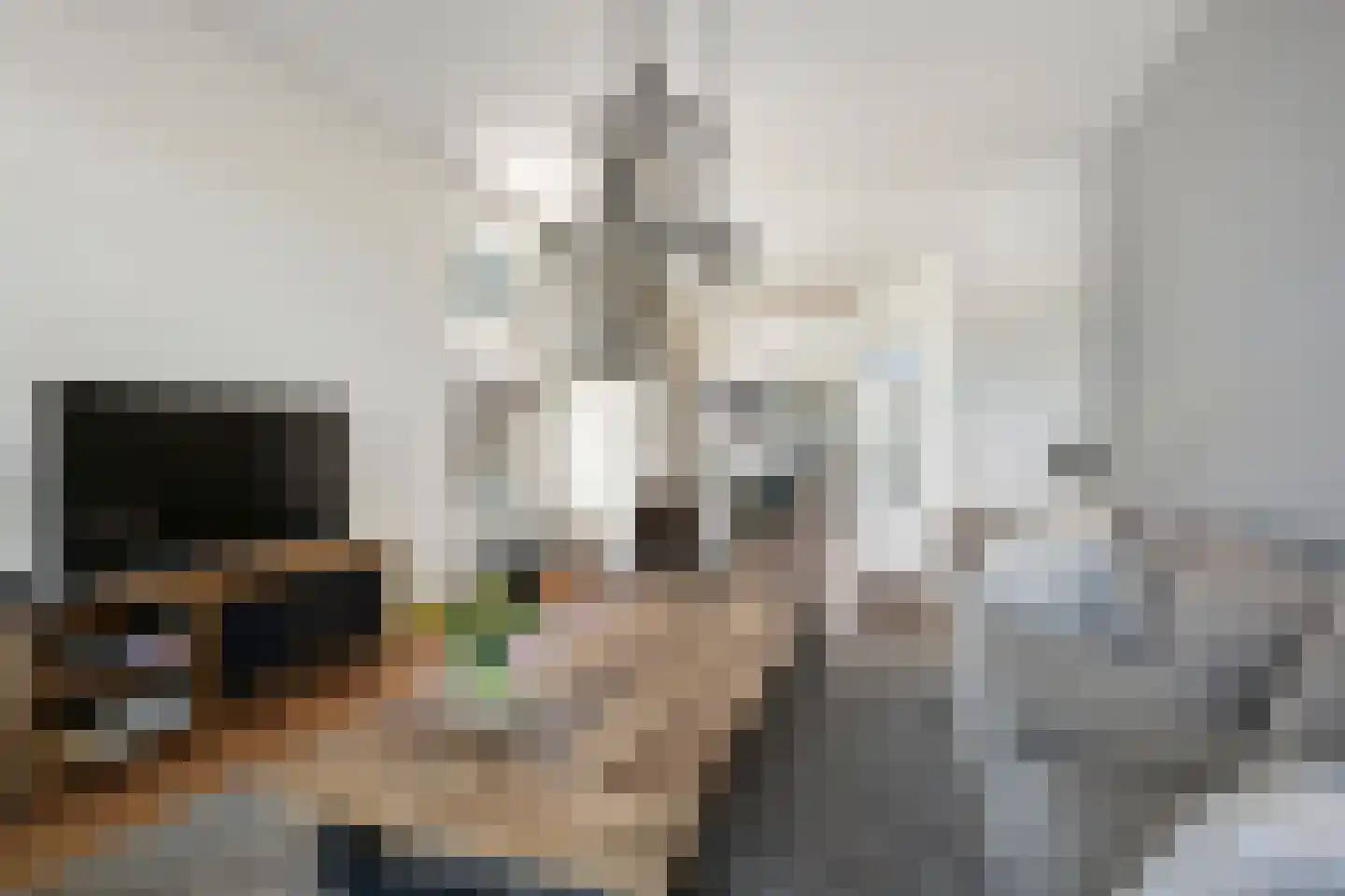 Oosteindseweg 64 Bergschenhoek thumbnail 16