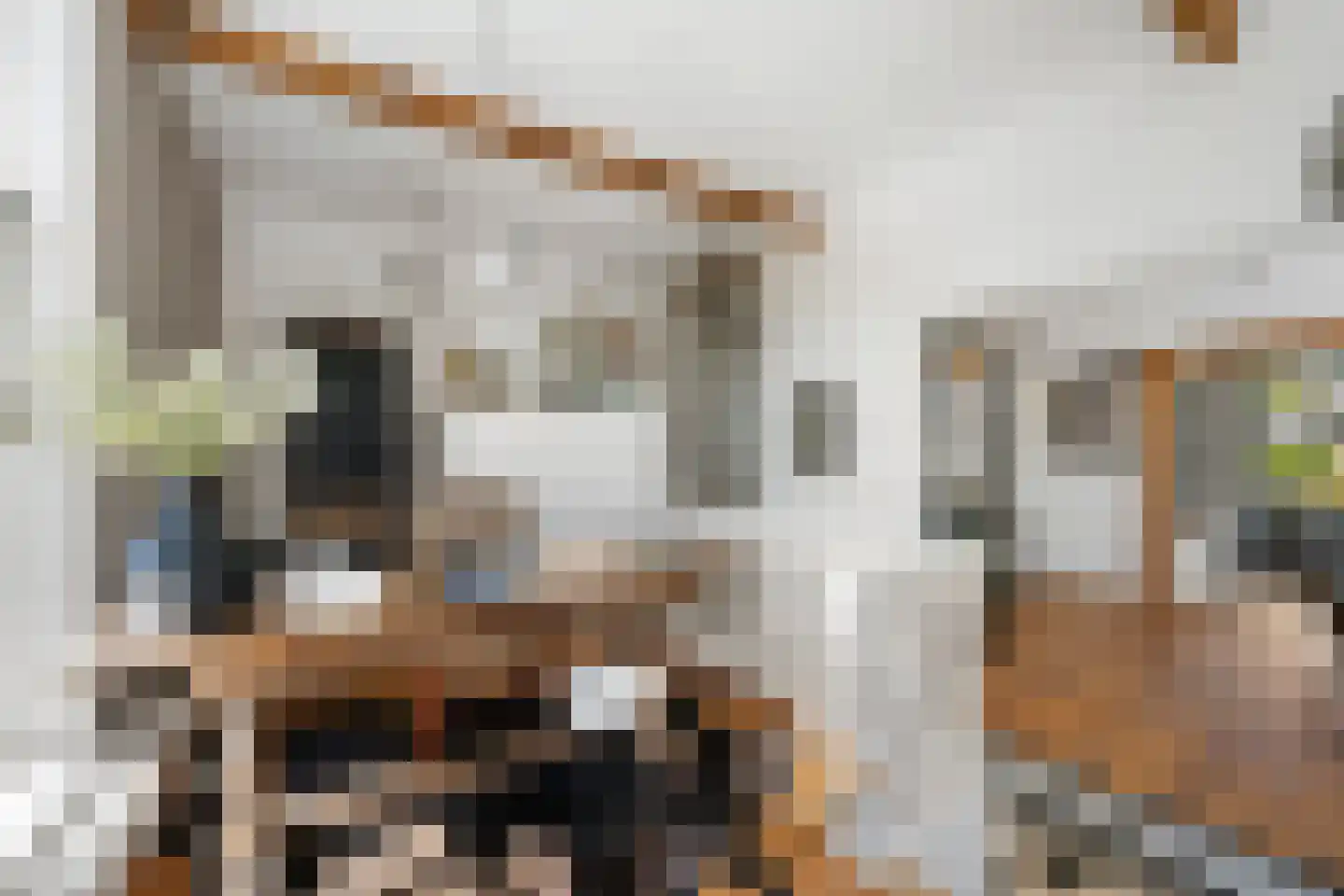 Oosteindseweg 64 Bergschenhoek thumbnail 21