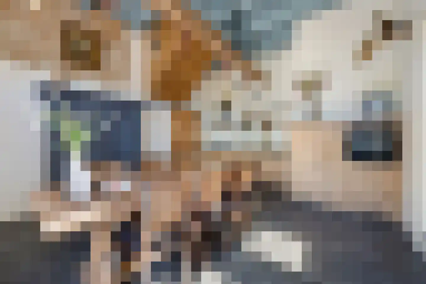 Oosteindseweg 64 Bergschenhoek thumbnail 32