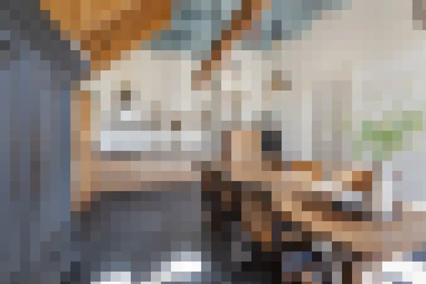 Oosteindseweg 64 Bergschenhoek thumbnail 33