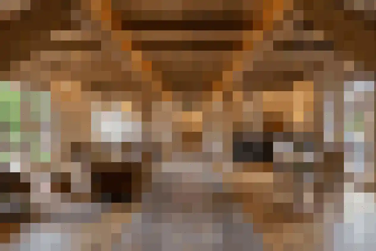 Oosteindseweg 64 Bergschenhoek thumbnail 36
