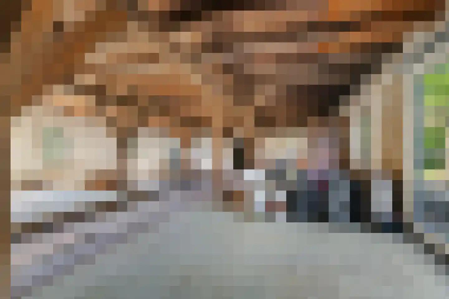 Oosteindseweg 64 Bergschenhoek thumbnail 37