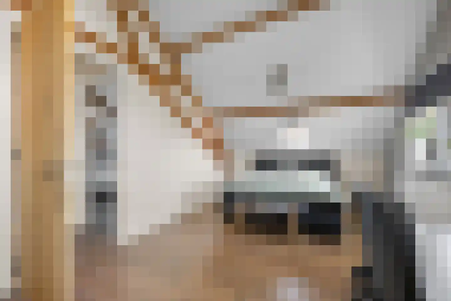 Oosteindseweg 64 Bergschenhoek thumbnail 42