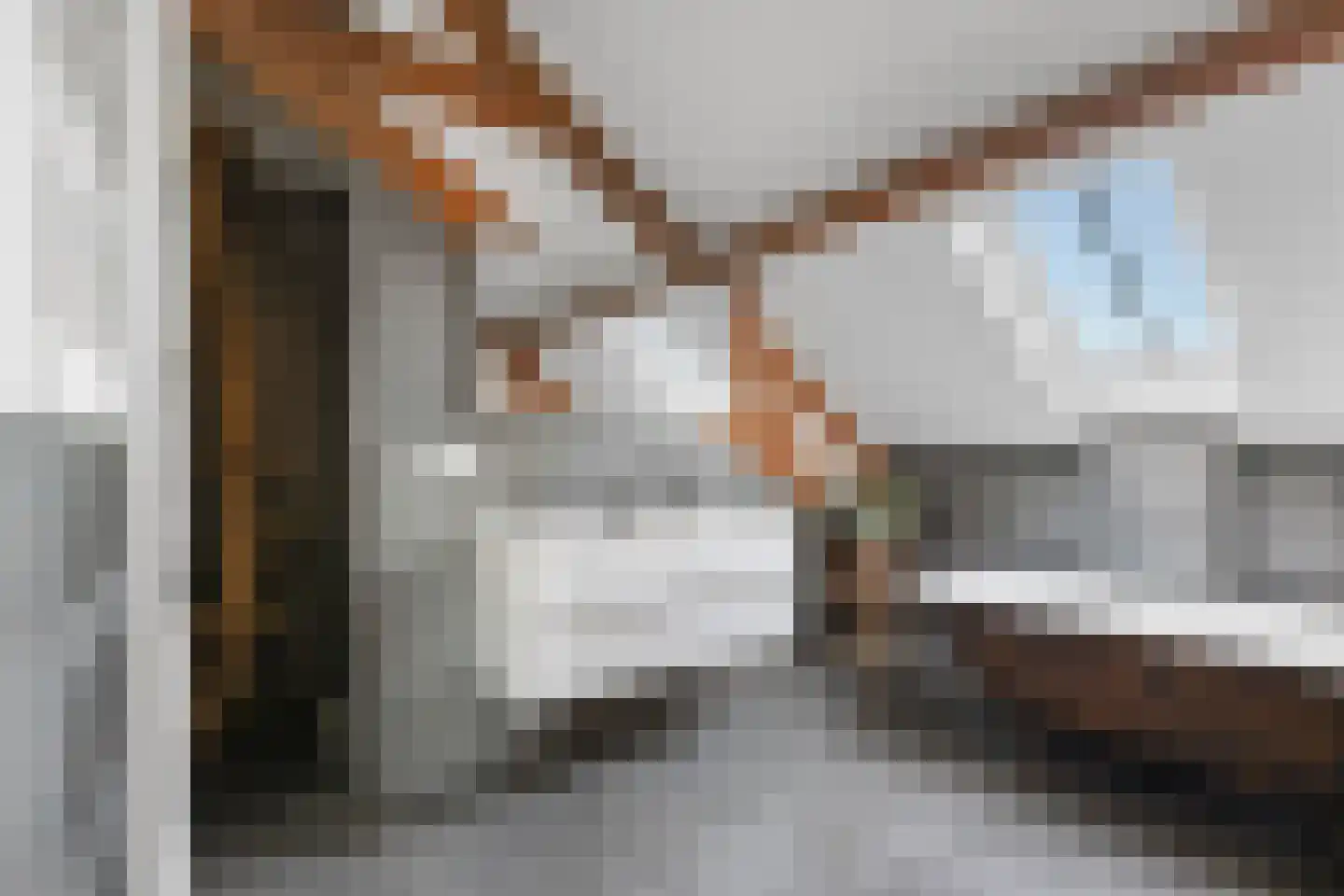 Oosteindseweg 64 Bergschenhoek thumbnail 44