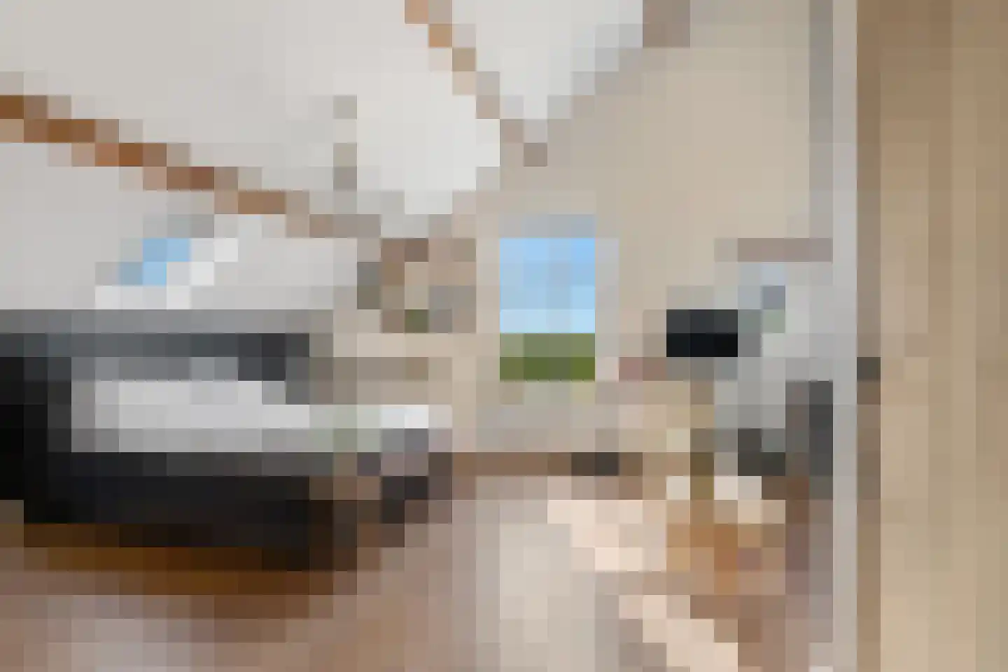 Oosteindseweg 64 Bergschenhoek thumbnail 46