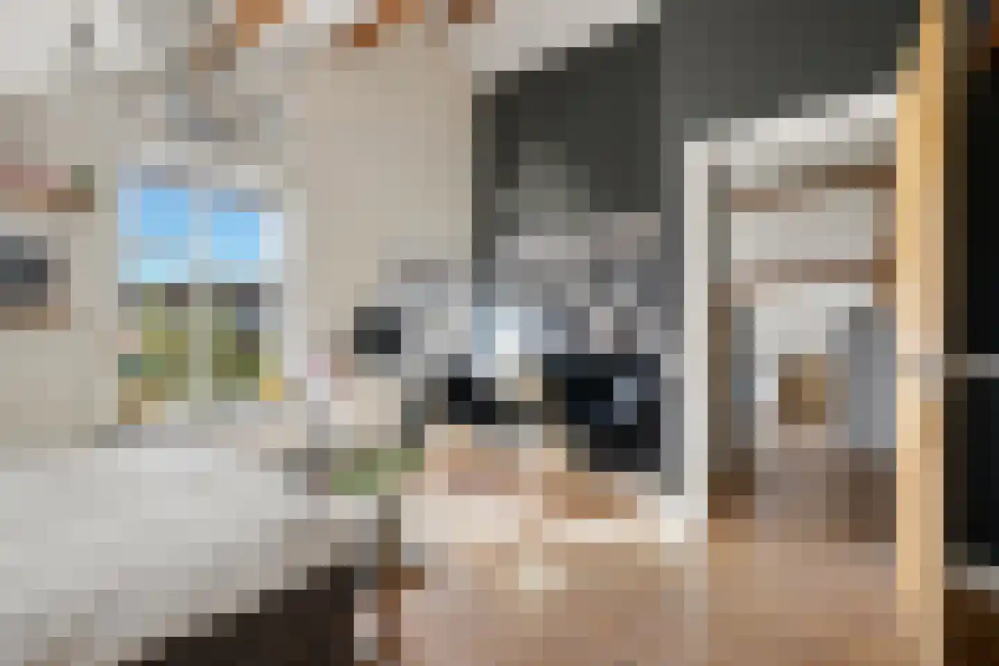 Oosteindseweg 64 Bergschenhoek thumbnail 47