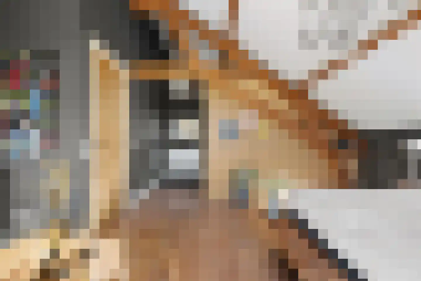 Oosteindseweg 64 Bergschenhoek thumbnail 48