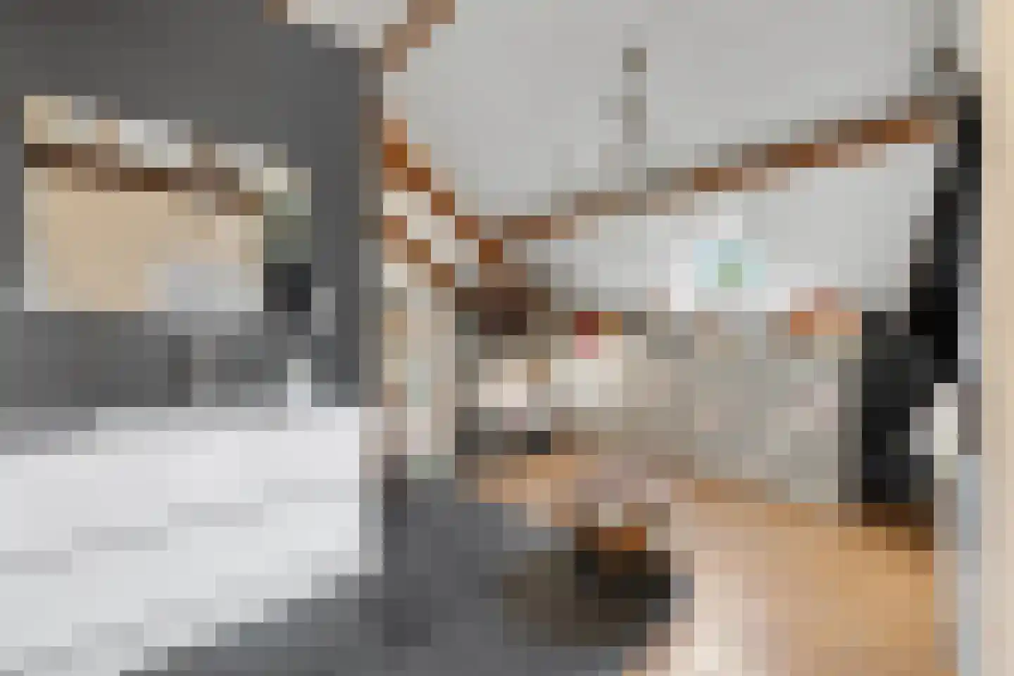 Oosteindseweg 64 Bergschenhoek thumbnail 49