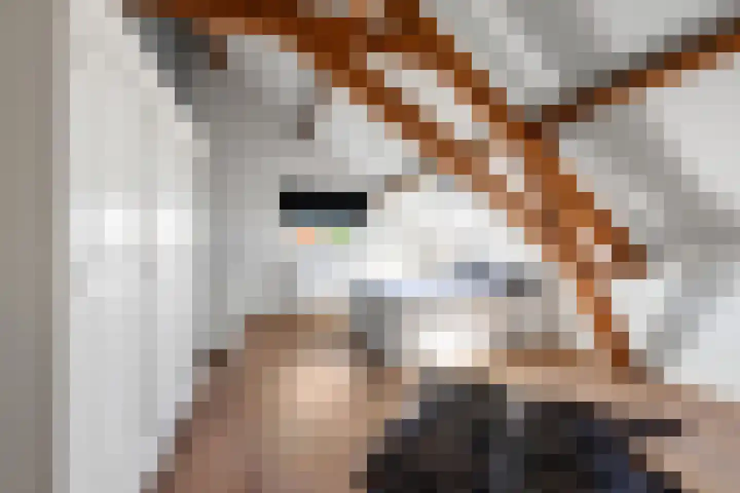Oosteindseweg 64 Bergschenhoek thumbnail 50