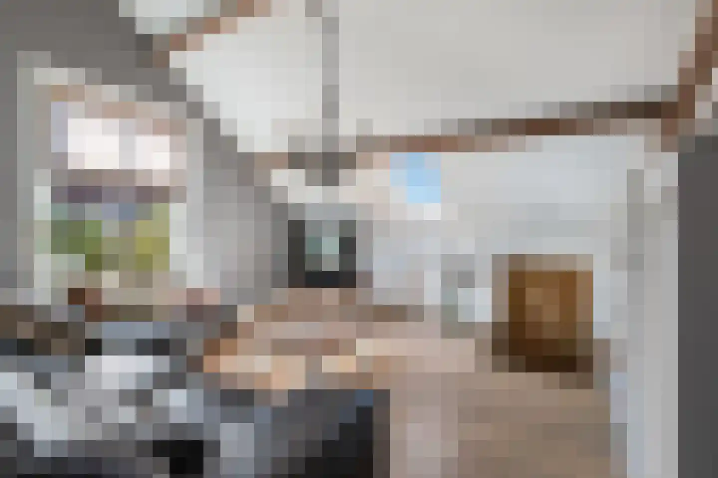 Oosteindseweg 64 Bergschenhoek thumbnail 51