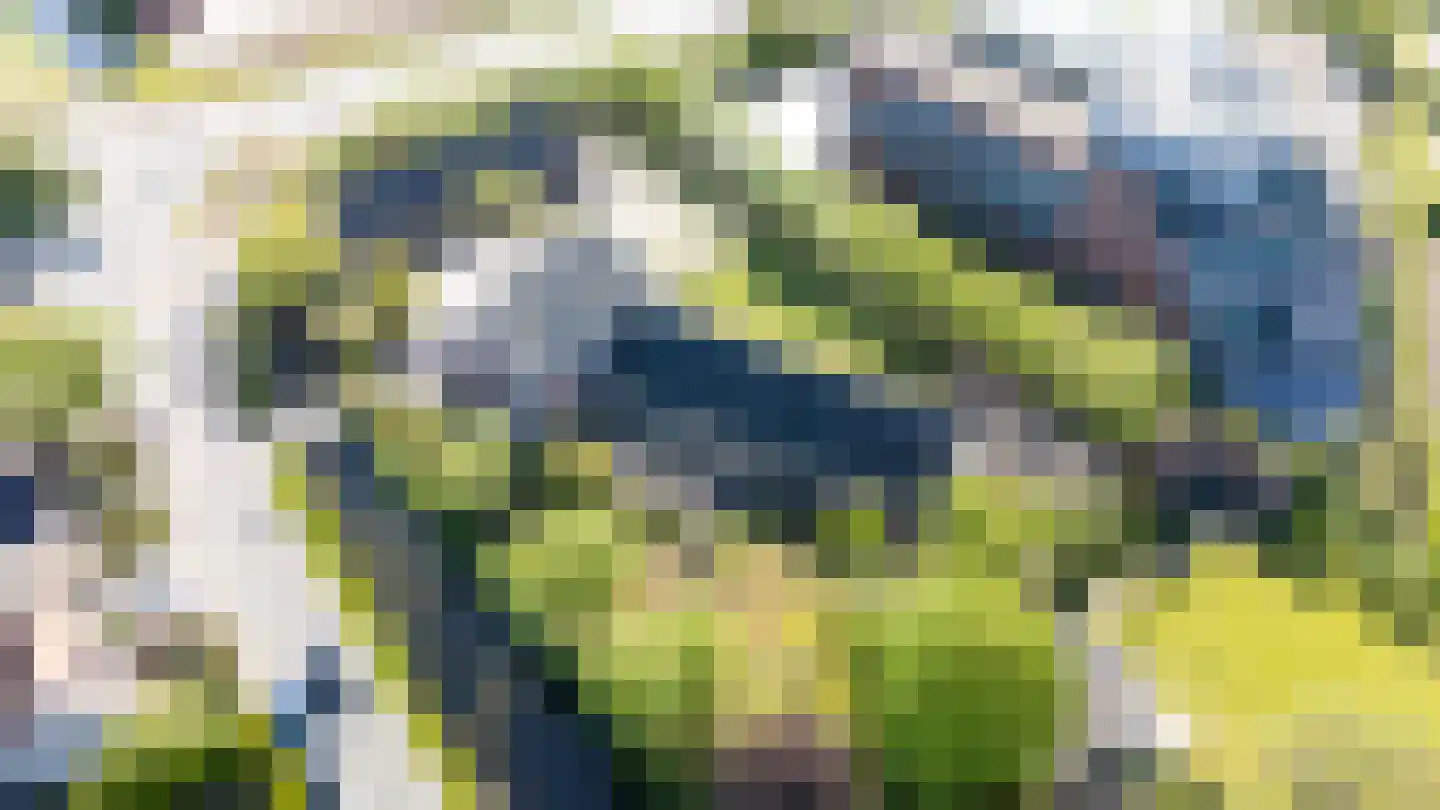 Oosteindseweg 64 Bergschenhoek thumbnail 53