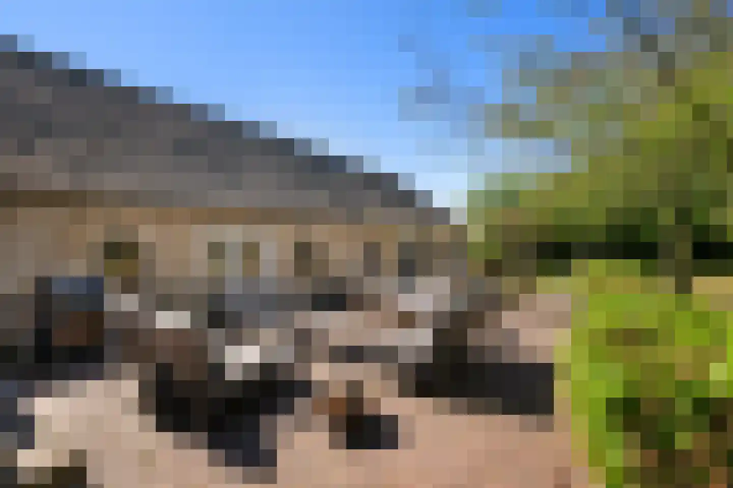 Oosteindseweg 64 Bergschenhoek thumbnail 56