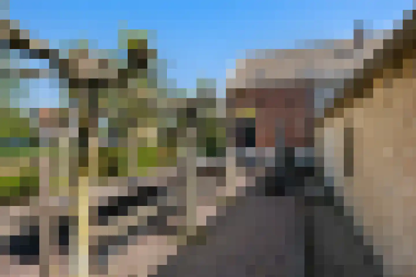 Oosteindseweg 64 Bergschenhoek thumbnail 57