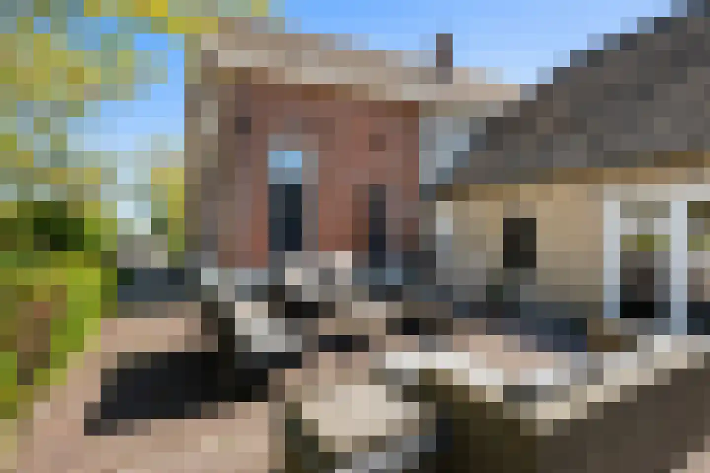 Oosteindseweg 64 Bergschenhoek thumbnail 58