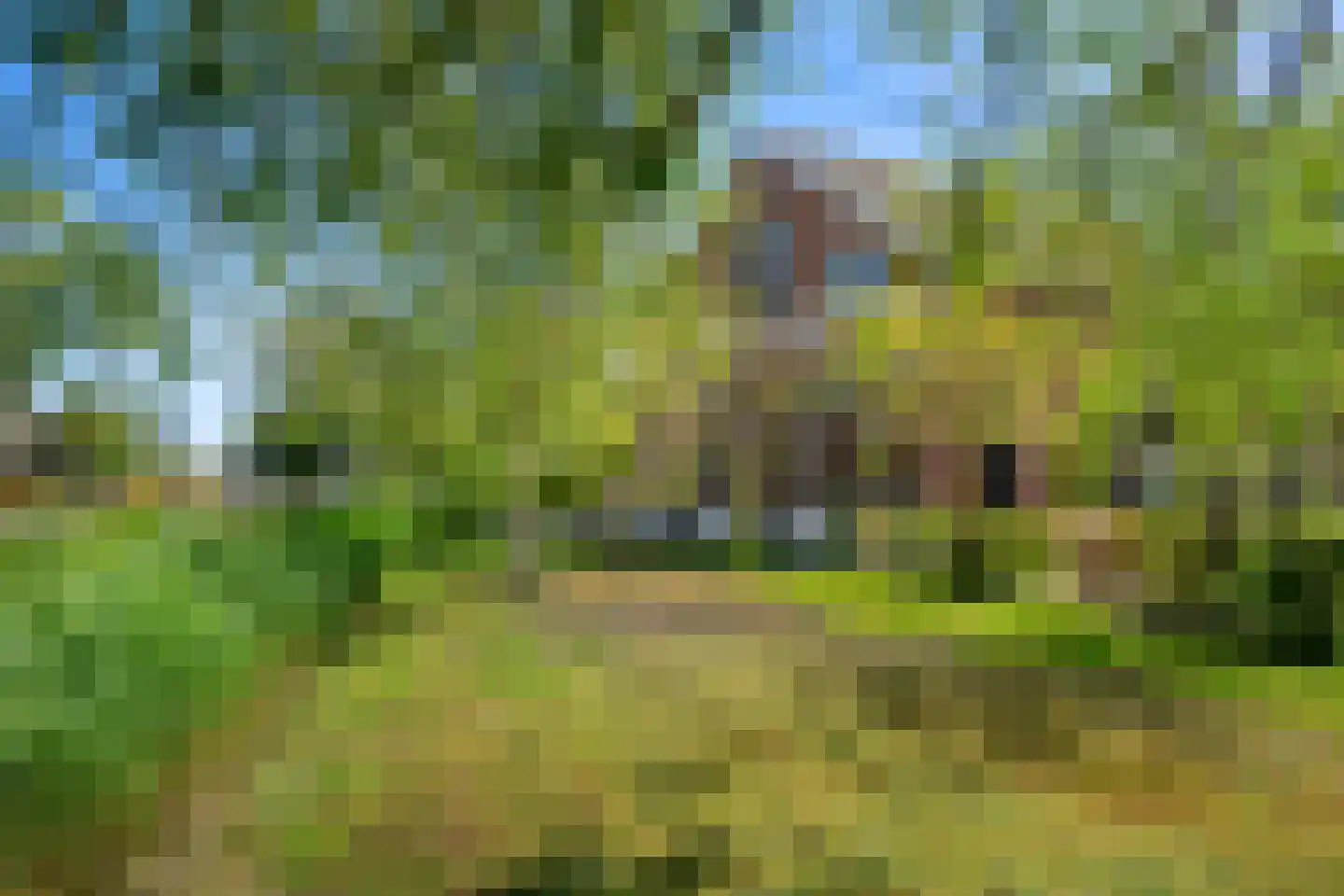 Oosteindseweg 64 Bergschenhoek thumbnail 60