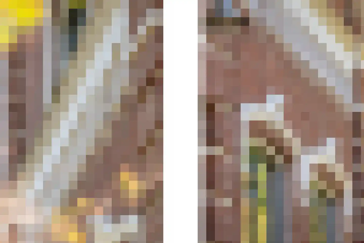 Oosteindseweg 64 Bergschenhoek thumbnail 61