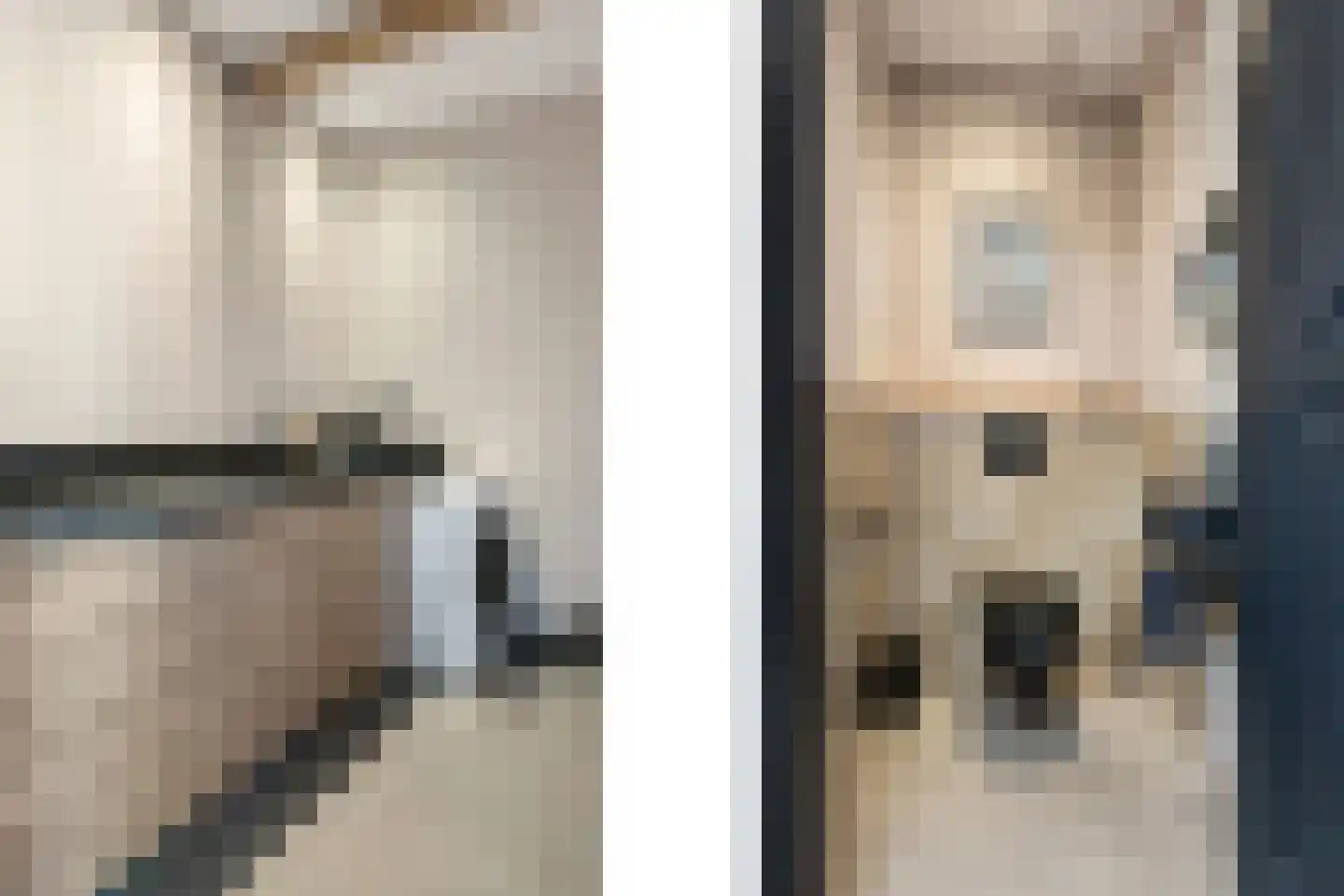Oosteindseweg 64 Bergschenhoek thumbnail 69