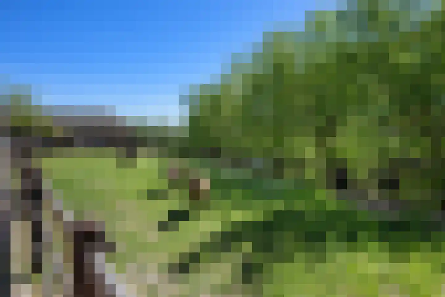 Oosteindseweg 64 Bergschenhoek thumbnail 73