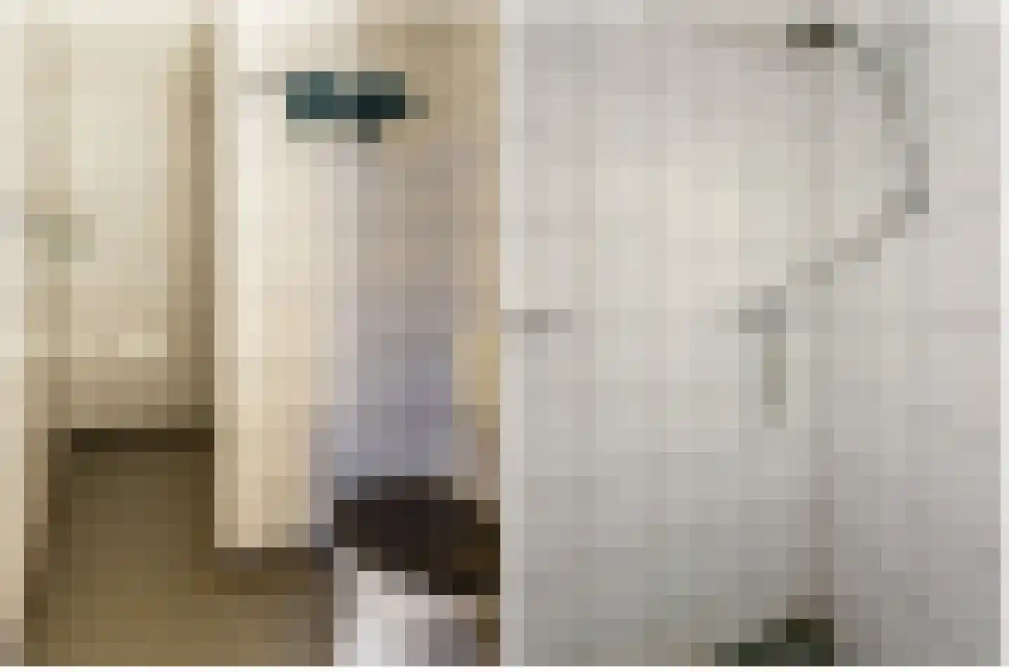 Oosteindseweg 67 Sprundel thumbnail 23