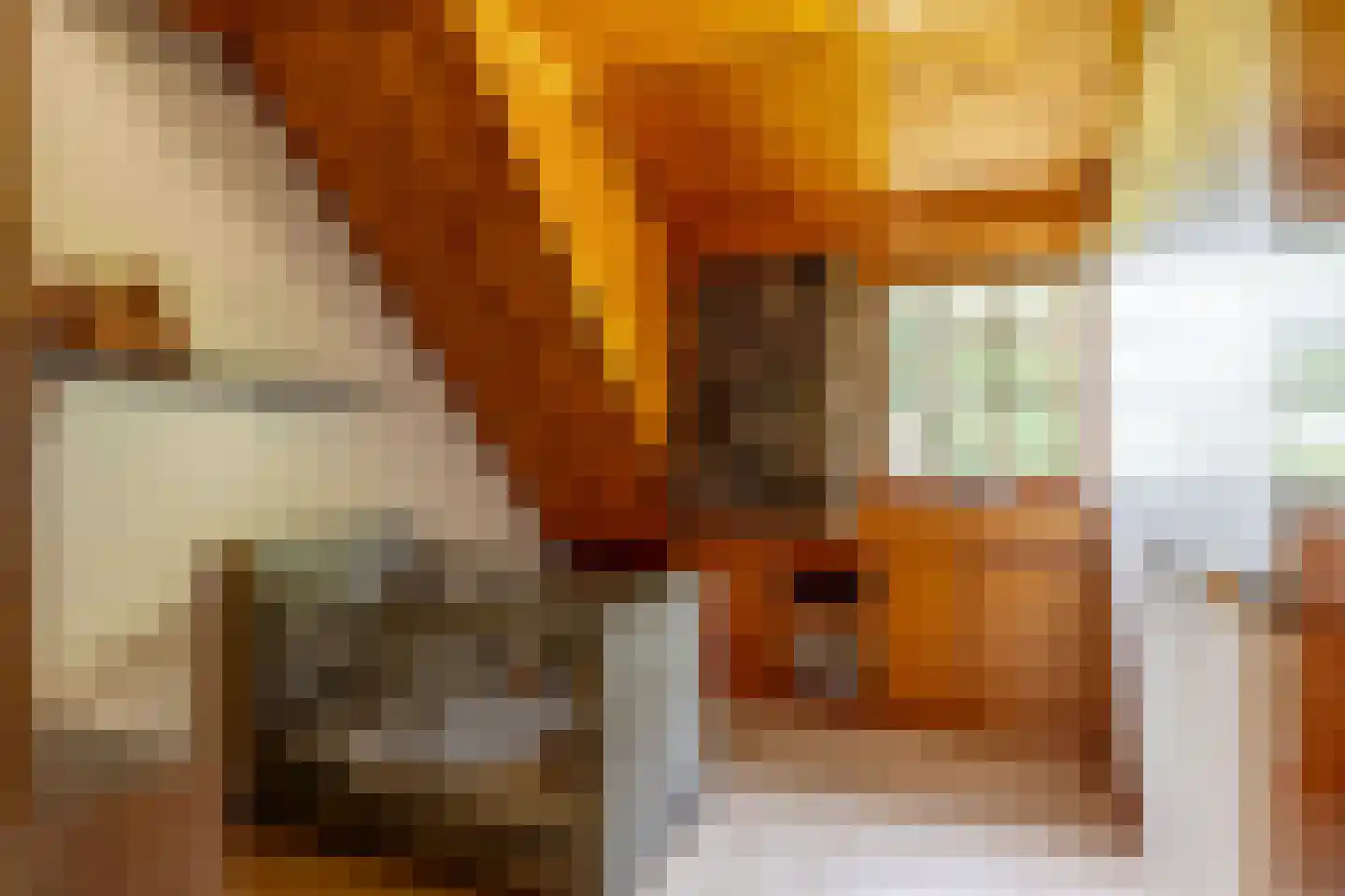 Oosteindseweg 67 Sprundel thumbnail 26