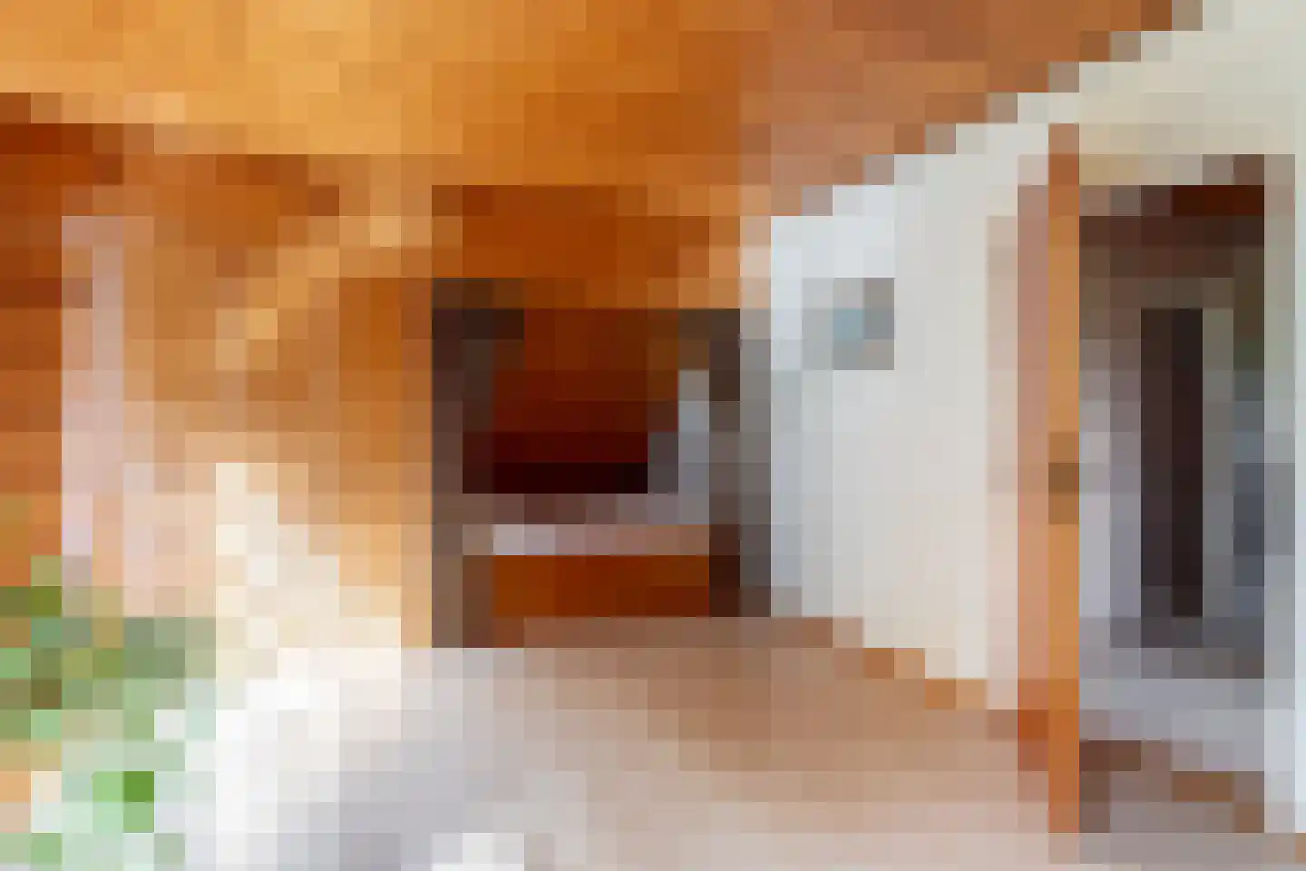 Oosteindseweg 67 Sprundel thumbnail 29
