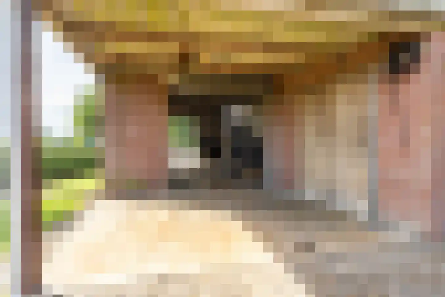 Oosteindseweg 67 Sprundel thumbnail 31