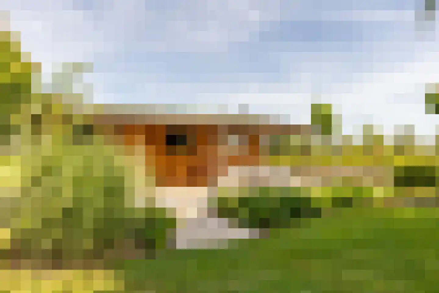 Oosteindseweg 67 Sprundel thumbnail 33