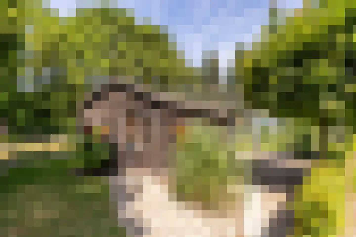 Oosteindseweg 67 Sprundel thumbnail 39