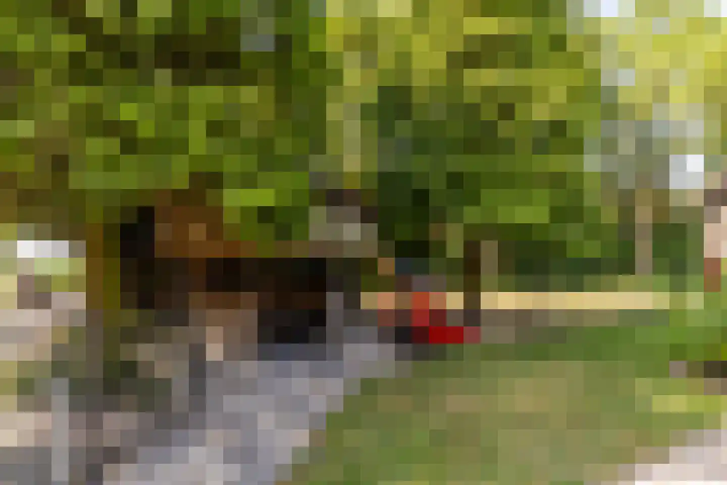 Oosteindseweg 67 Sprundel thumbnail 40