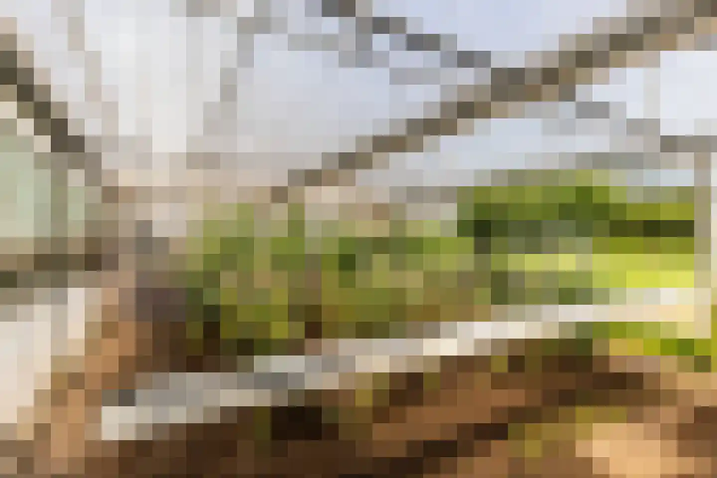 Oosteindseweg 67 Sprundel thumbnail 48