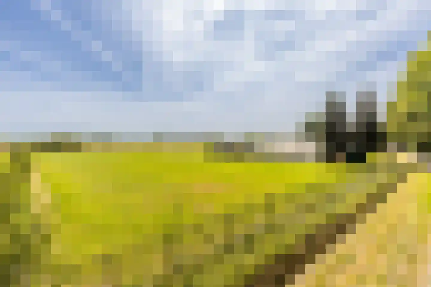Oosteindseweg 67 Sprundel thumbnail 49