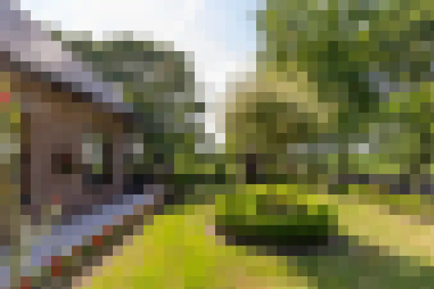 Oosteindseweg 67 Sprundel thumbnail 51