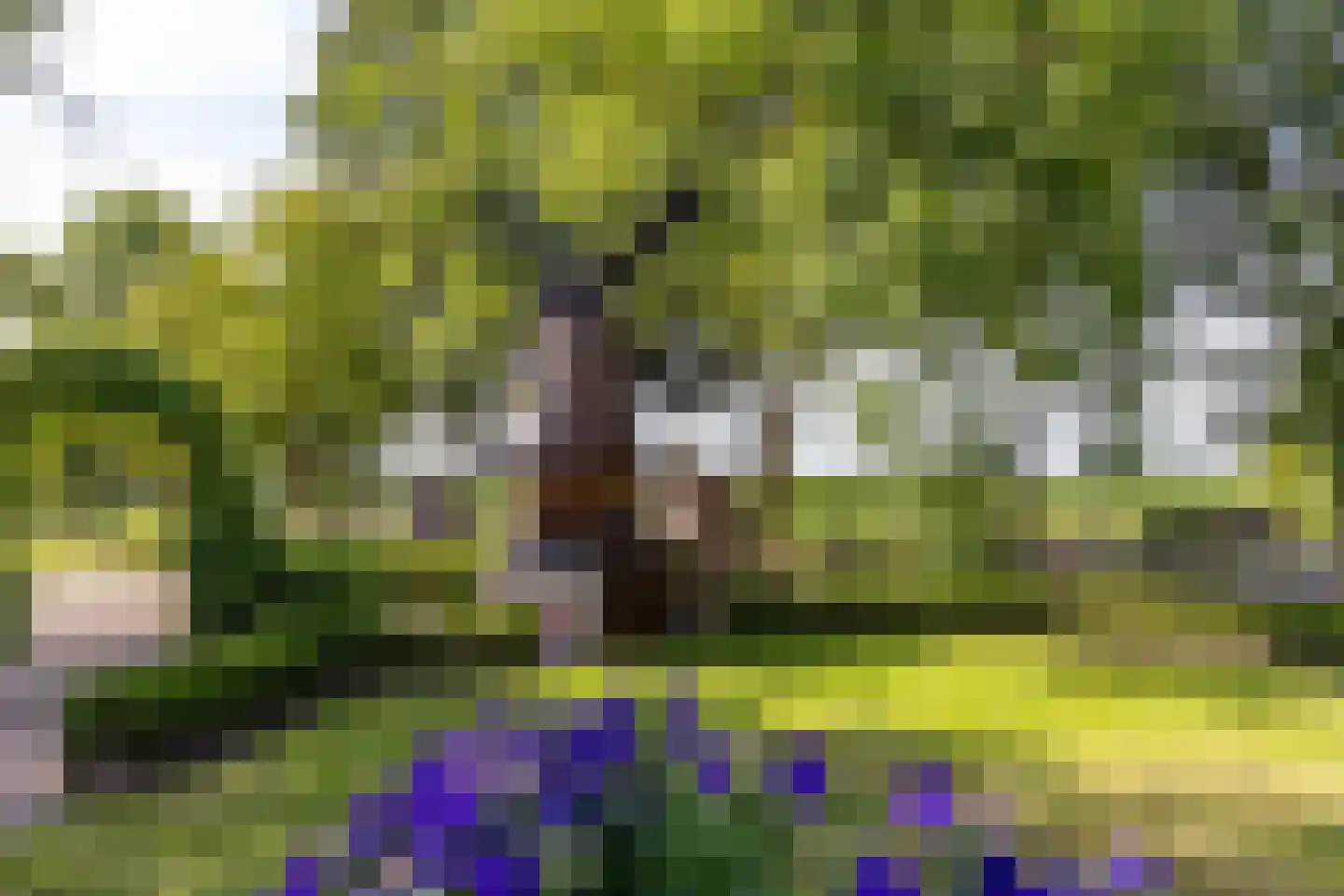 Oosteindseweg 67 Sprundel thumbnail 52