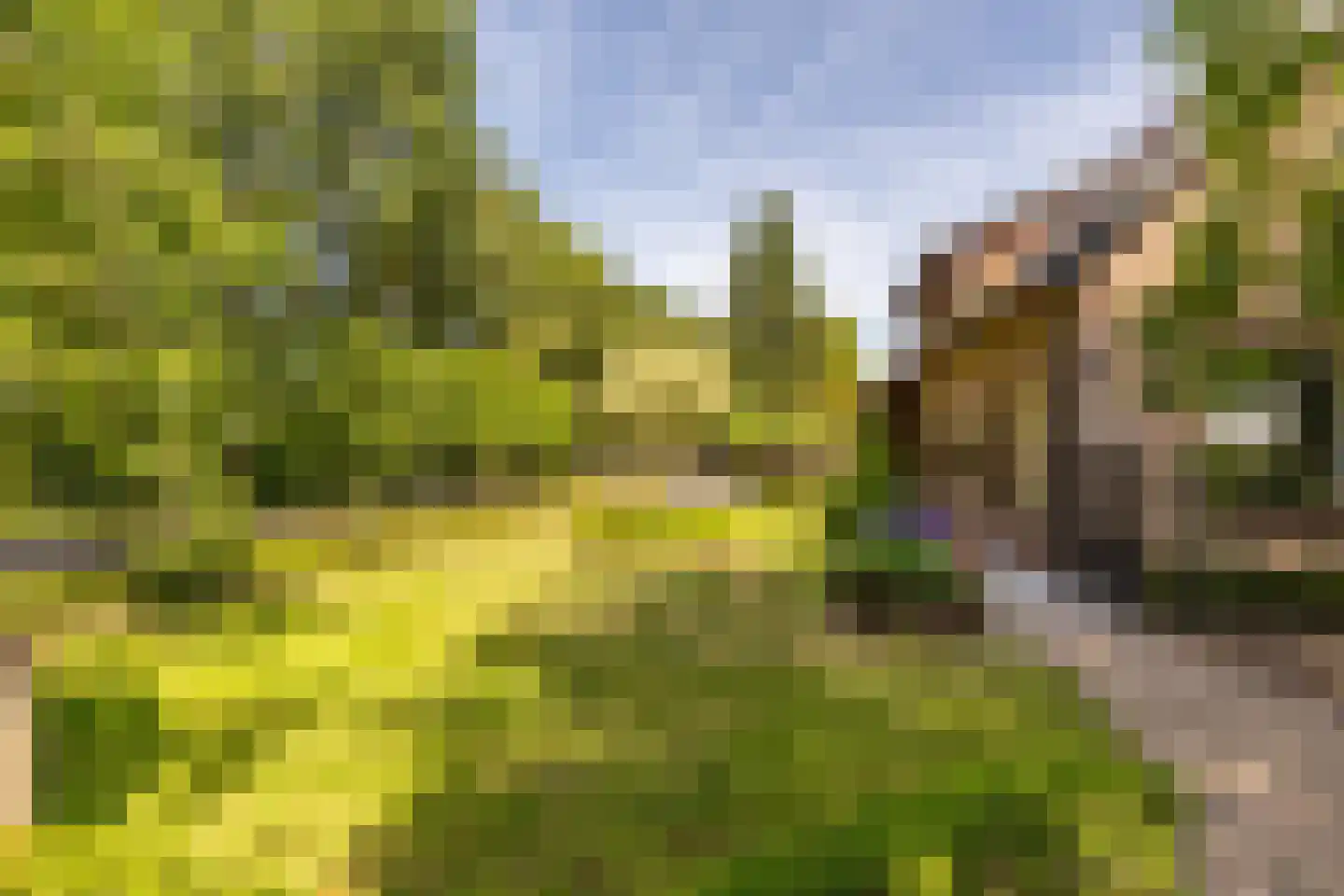 Oosteindseweg 67 Sprundel thumbnail 53
