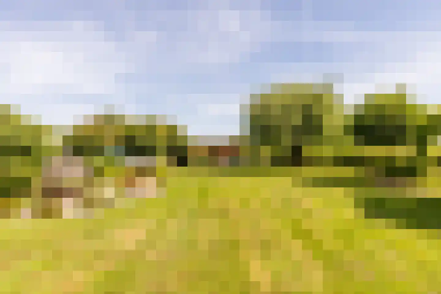 Oosteindseweg 67 Sprundel thumbnail 55