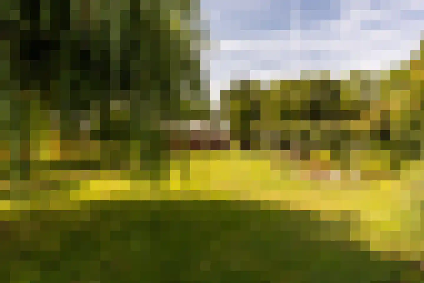 Oosteindseweg 67 Sprundel thumbnail 58