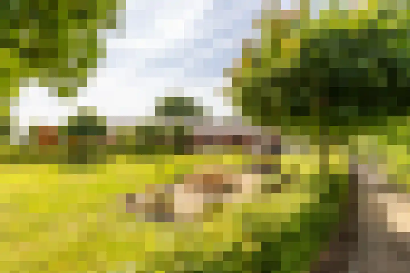 Oosteindseweg 67 Sprundel thumbnail 59