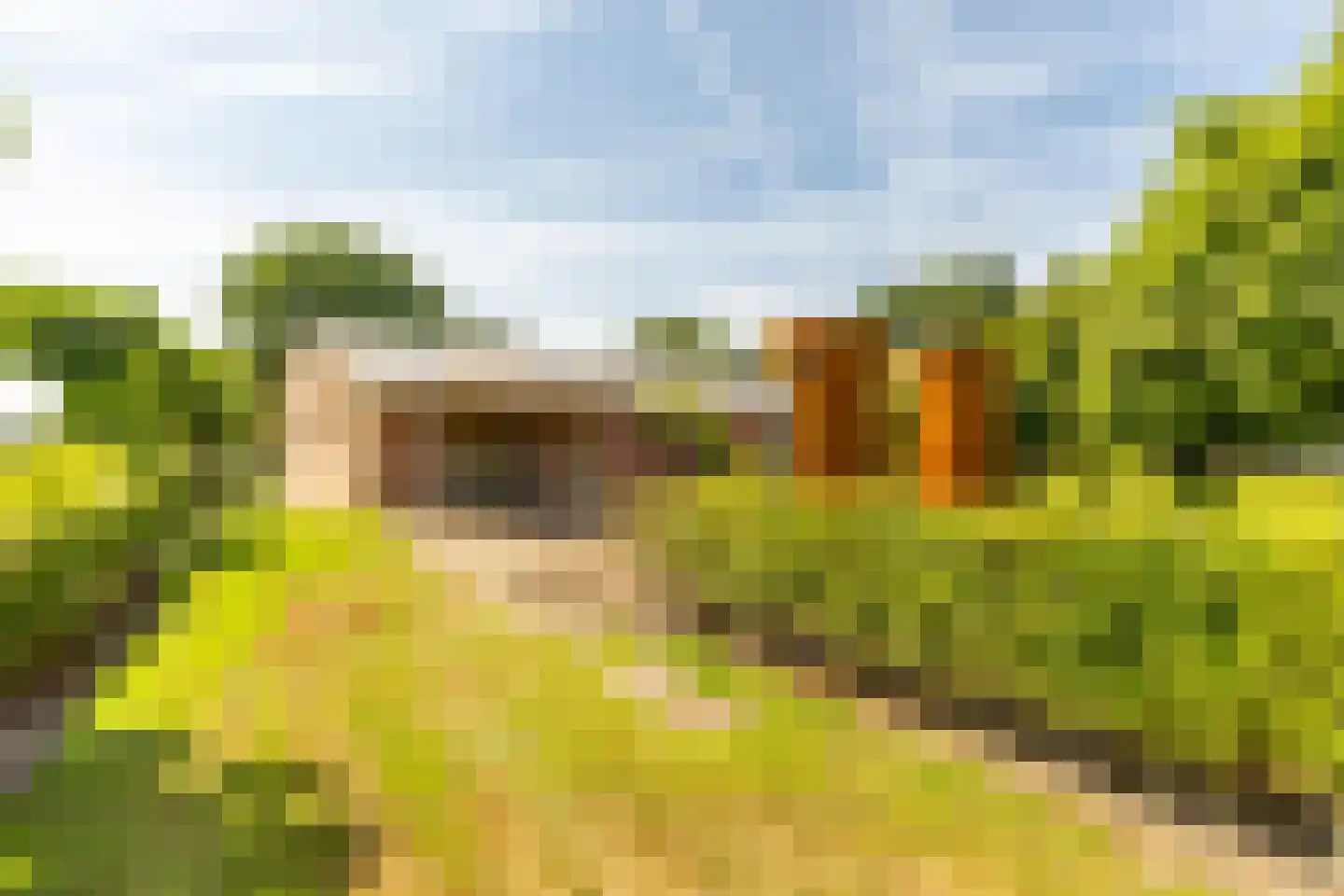 Oosteindseweg 67 Sprundel thumbnail 60