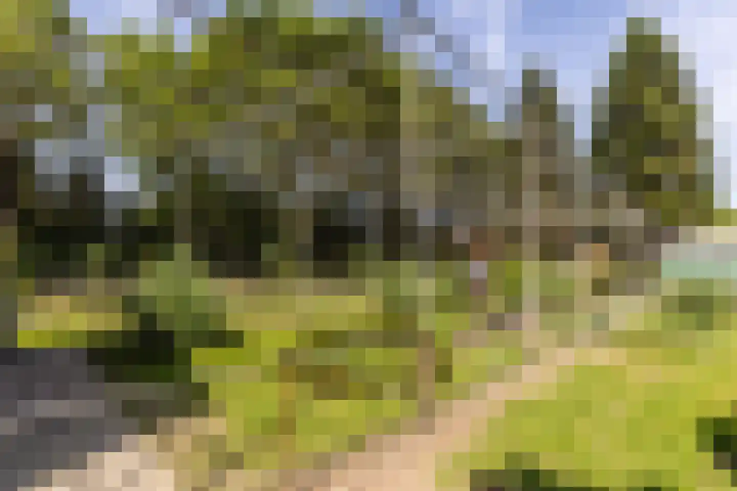 Oosteindseweg 67 Sprundel thumbnail 61