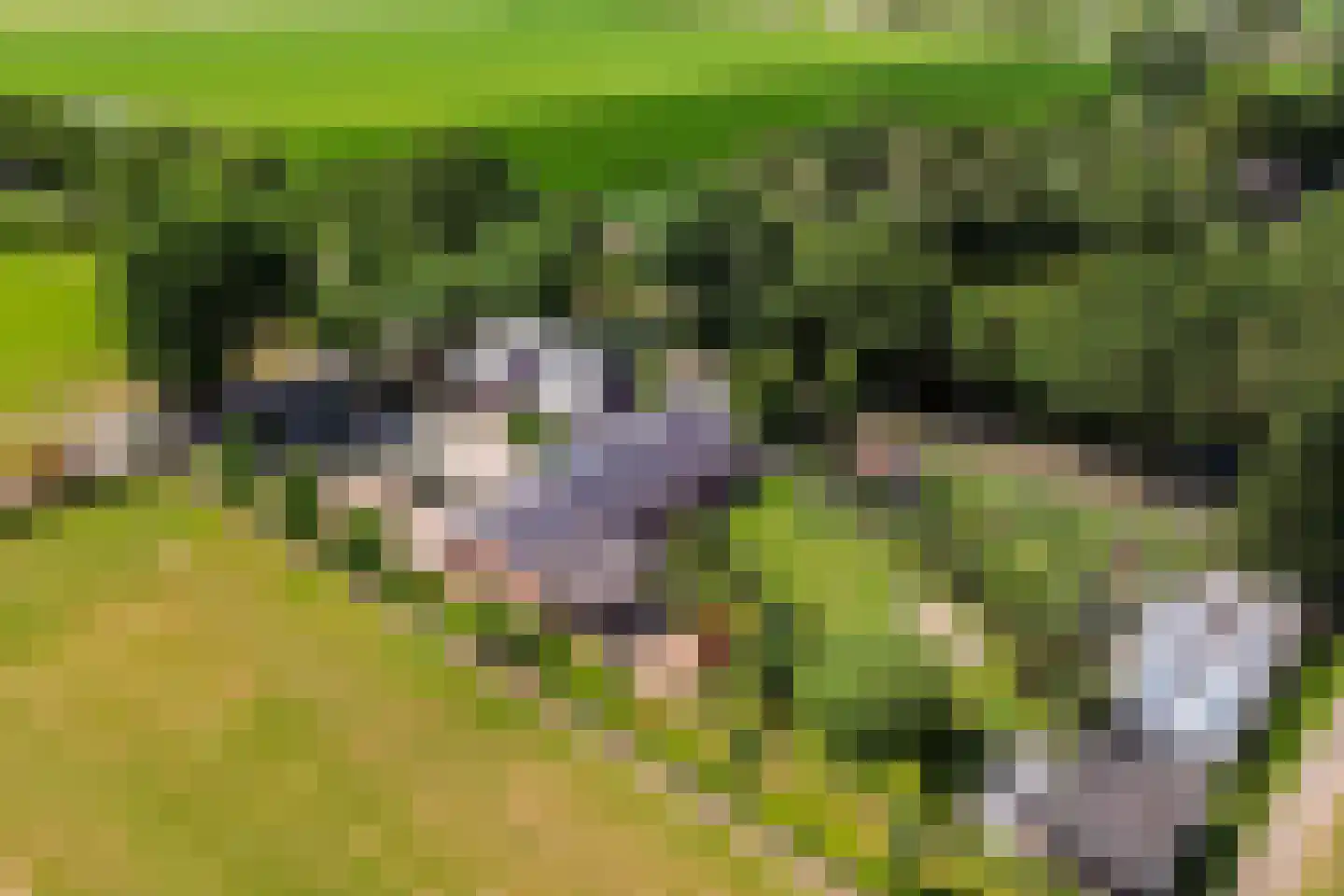 Oosteindseweg 67 Sprundel thumbnail 62