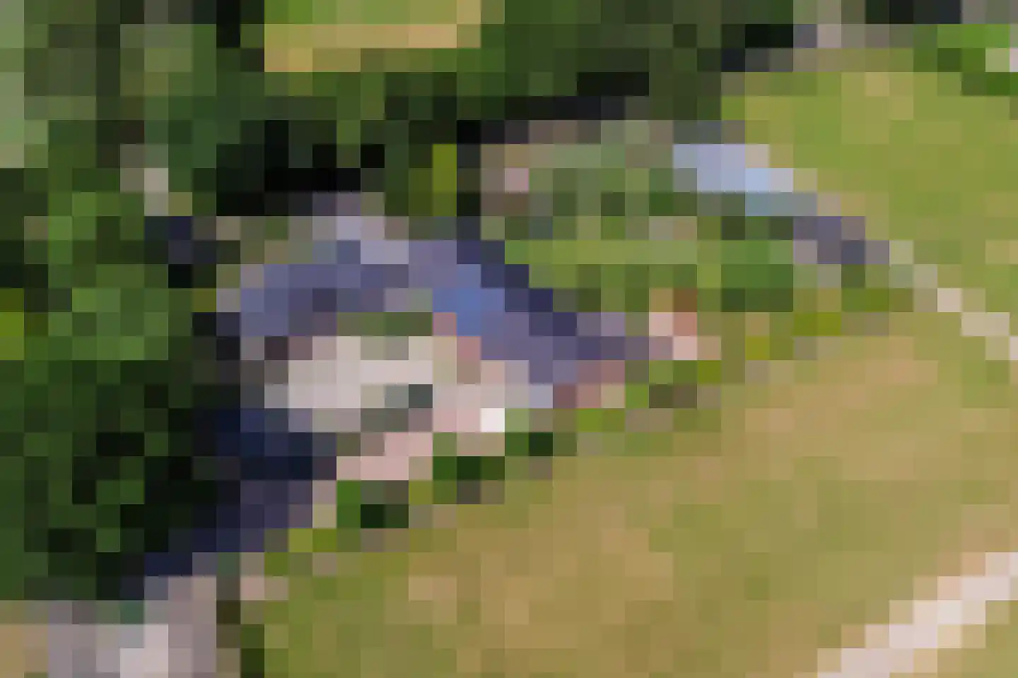 Oosteindseweg 67 Sprundel thumbnail 65