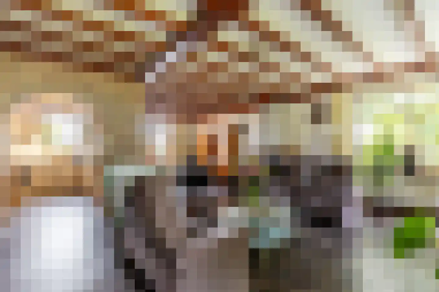 Oosteindseweg 67 Sprundel thumbnail 9